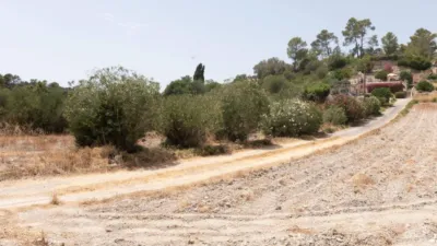 Rustic house in Sineu photo 20