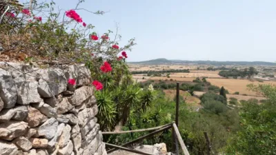 Rustic house in Sineu photo 30