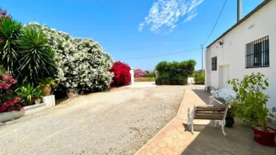 Casa – Daya Nueva - Más