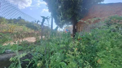 House in A Arnoia photo 20