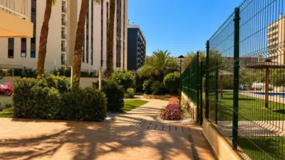Piso – Alacant / Alicante, l'Alacantí - Más