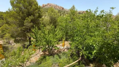 Rustic house in Nerpio photo 20