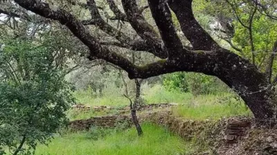 Rustic property in Los Marines photo 68