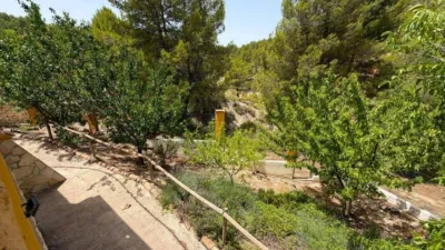 Rustic house in Nerpio photo 28