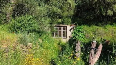 Rustic property in Los Marines photo 69