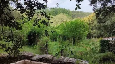 Rustic property in Los Marines photo 45