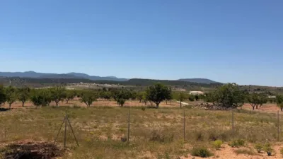 House in El Pinós - Pinoso photo 31