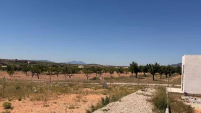 House in El Pinós - Pinoso photo 32