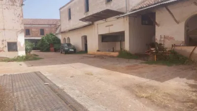 Miniatura 7
