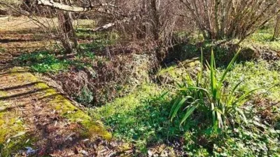 Rustic property in Los Marines photo 53