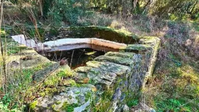 Rustic property in Los Marines photo 46