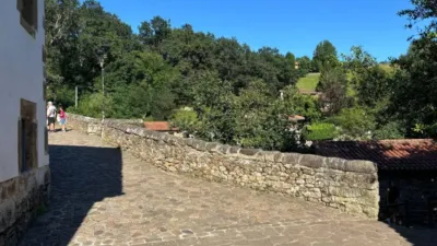 Rustic house at Calle Jan Curtius, 17 photo 13