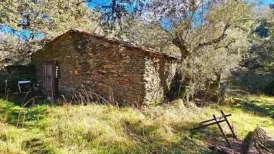 Rustic property in Los Marines photo 50