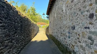 Rustic house at Calle Jan Curtius, 17 photo 24