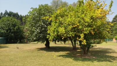 Casa rústica en venta en Narón - Más