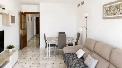 Penthouse on Paseo del Malecón photo 4
