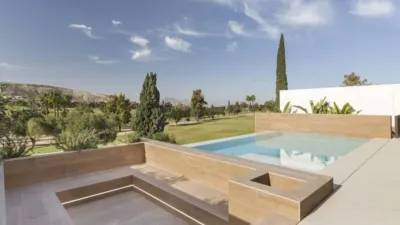Villa in Algorfa photo 31