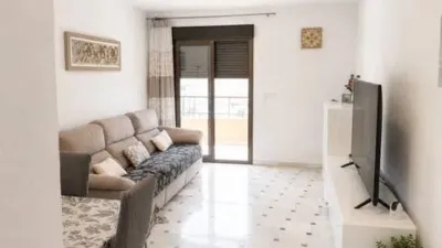 Penthouse on Paseo del Malecón photo 3