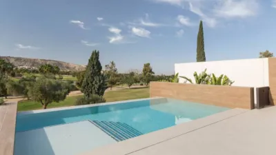 Villa in Algorfa photo 14