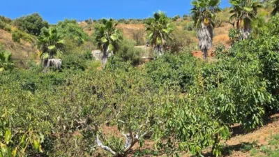 Rustic House in Guaro photo 17