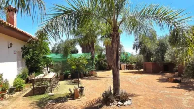 Rustic House in Guaro photo 3