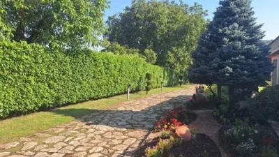 Chalet in Barrundia photo 16