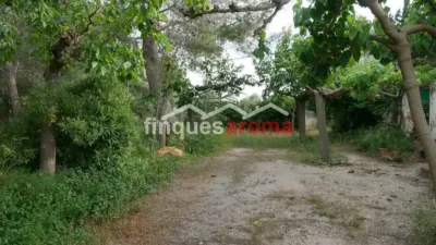 Chalet in Valls photo 2