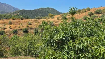 Rustic House in Guaro photo 16