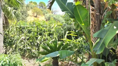 Rustic House in Guaro photo 20