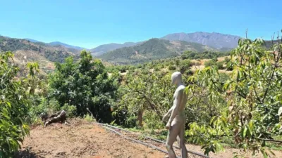 Rustic House in Guaro photo 18
