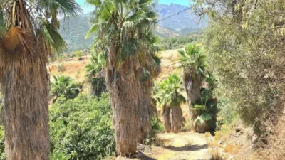 Rustic House in Guaro photo 22
