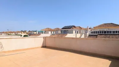 Chalet in Algorfa photo 25