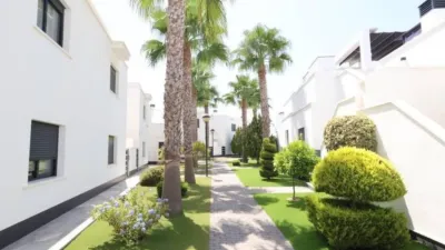 Duplex in Orihuela photo 19