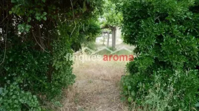 Chalet in Valls photo 17