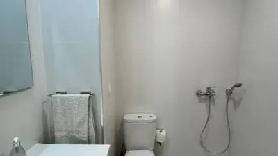 Habitación en alquiler en Calle Calle Luis F Pallardo Peinado, 7, Portada Alta-Camino de Antequera (Distrito Cruz de Humilladero. Málaga Capital) de 450 €<span>/mes</span>