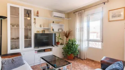Apartment in Los Dolores photo 4