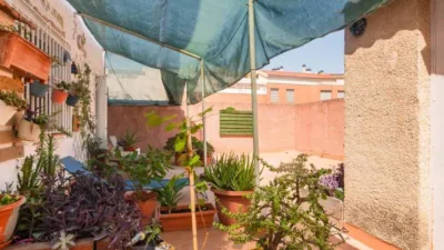 Apartment in Los Dolores photo 35
