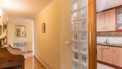 Apartment in Los Dolores photo 19