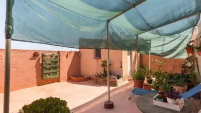 Apartment in Los Dolores photo 8