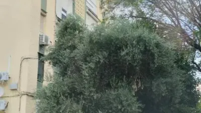 Flat in San Pablo photo 4
