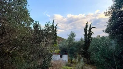 Rustic property in Almodóvar del Río photo 13
