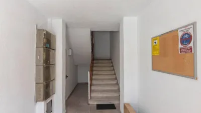 Apartment in Los Dolores photo 39