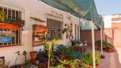 Apartment in Los Dolores photo 34