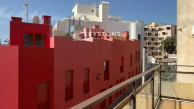 Apartment in El Terreno photo 4
