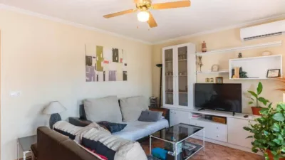 Apartment in Los Dolores photo 22
