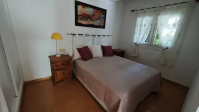 Apartment in Cabo Roig-La Zenia-La Regia photo 16