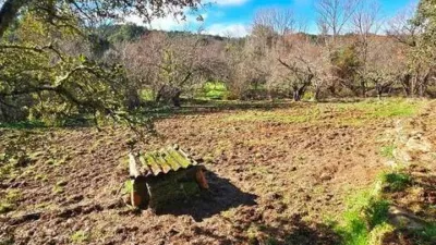 Rustic property in Los Marines photo 52