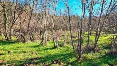 Rustic property in Los Marines photo 55