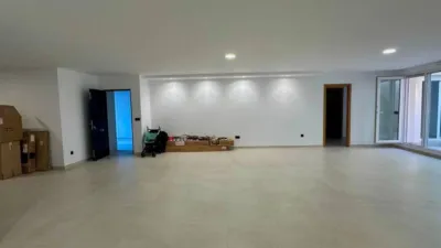 Villa in Algorfa photo 44