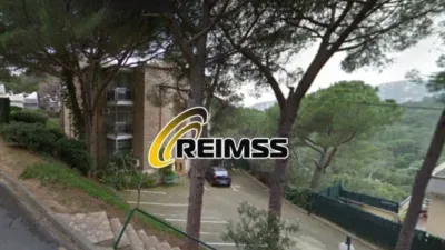 Apartment in Els Pins photo 4